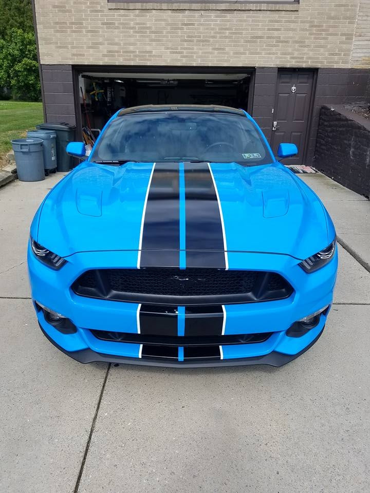 '15, '16, '17, '18 MUSTANG 2 COLOR DUAL STRIPE KIT SHELBY STRIPE