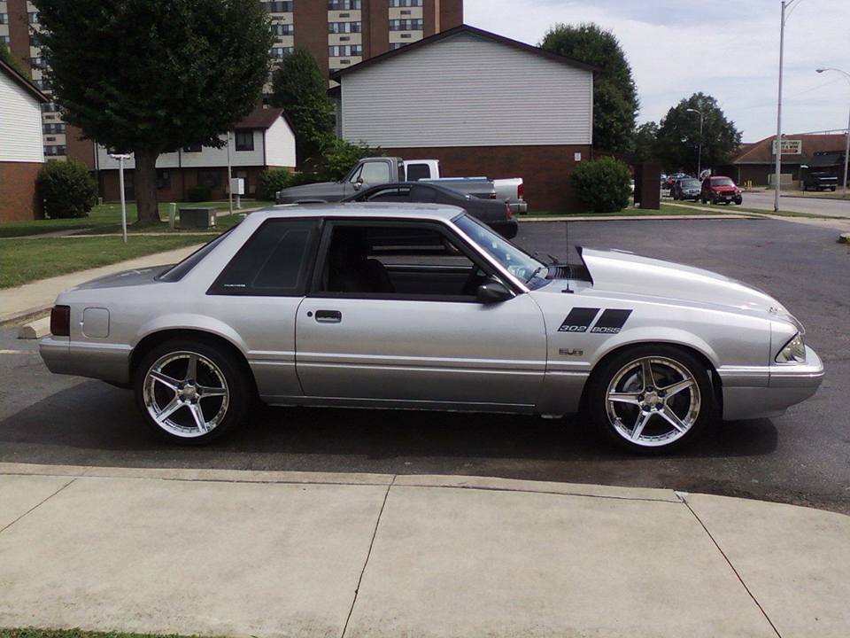 SALEEN MUSTANG FENDER VINYL SLASHES HASH MARKS
