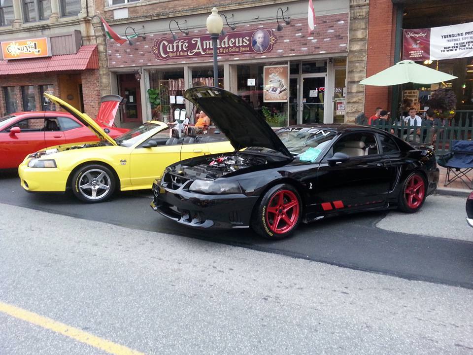 SALEEN MUSTANG WINDSHIELD & DOOR KIT WITH CEVRON STRIPES