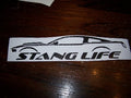 2010-2014 STANG LIFE WINDOW BANNER STICKER DECAL CHOOSE COLOR