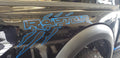 FORD RAPTOR BEDSIDE QUARTER PANEL DECAL SET OF 2 CHOOSE COLORS