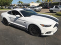 2015-2022 MUSTANG ROCKER PANEL STRIPES CHOOSE COLOR & TEXT