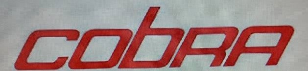MUSTANG COBRA REAR SPOILER DECAL 80-81 COBRA CHOOSE COLOR