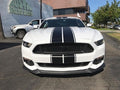 '15, '16, '17, '18 MUSTANG DUAL STRIPE KIT CHOOSE COLOR SHELBY