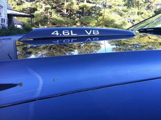 4.6L V8 HOOD SCOOP DECAL SET OF 3