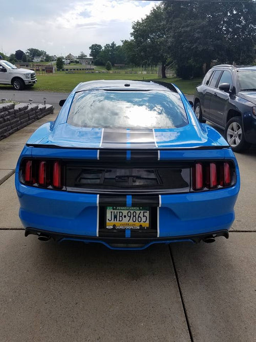 '15, '16, '17, '18 MUSTANG 2 COLOR DUAL STRIPE KIT SHELBY STRIPE