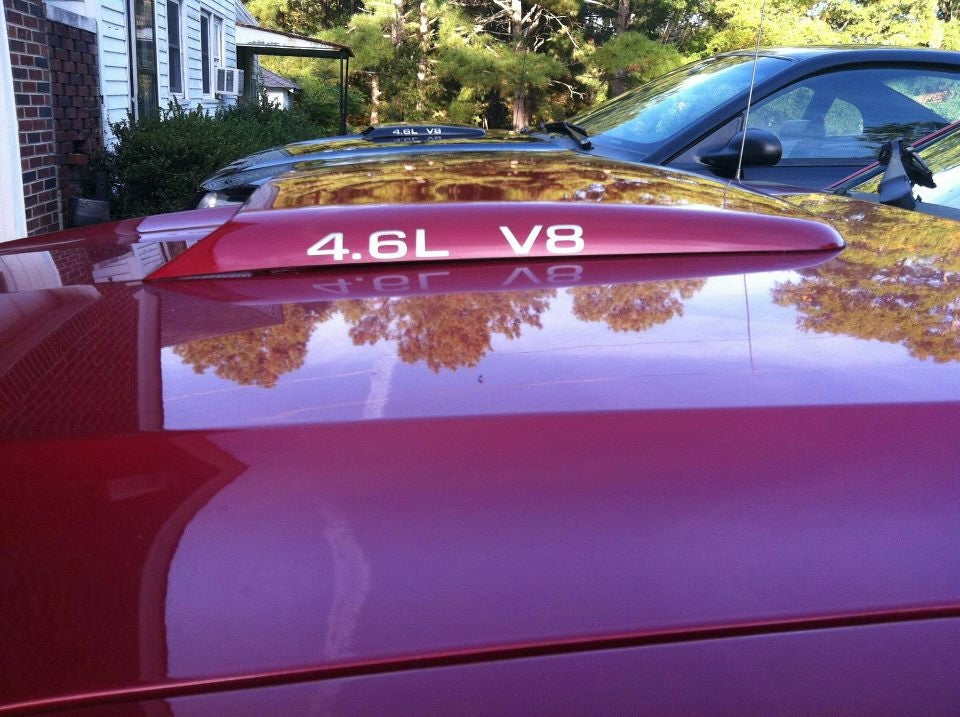 4.6L V8 HOOD SCOOP DECAL SET OF 3