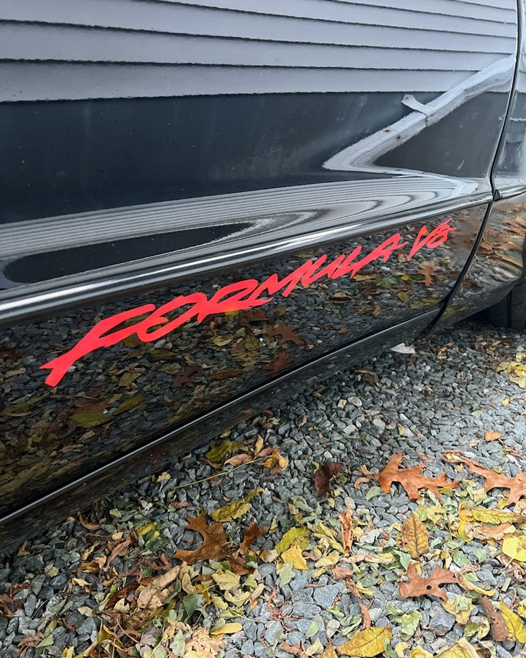 PONTIAC FIREBIRD FORMULA V8 4TH GEN 93-2002 EMBLEMS 1993 1994