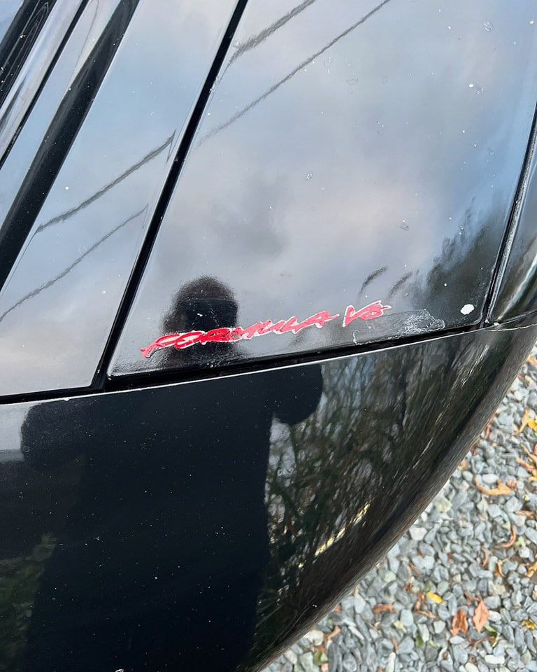 PONTIAC FIREBIRD FORMULA V8 4TH GEN 93-2002 EMBLEMS 1993 1994