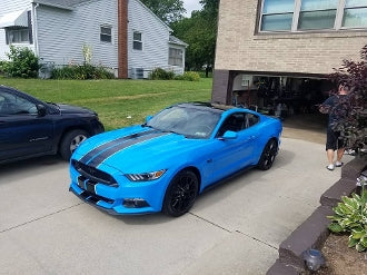 '15, '16, '17, '18 MUSTANG 2 COLOR DUAL STRIPE KIT SHELBY STRIPE