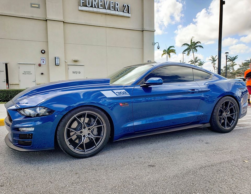 SALEEN MUSTANG FENDER VINYL SLASHES HASH MARKS 2015-2024