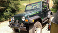 JEEP WRANGLER HOOD DECAL SET CHOOSE COLOR